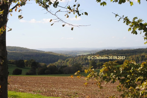 Blick über das Eicheltal nach Westen zum Taunus